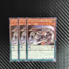 DP27-31R アマゾネスの銀剣使い 3枚