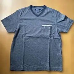 ゴールデンベア シャツ