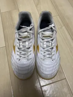 ミズノモナルシーダネオ　25.5