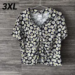 Item thumbnail for item c2ed24ee-2d5a-4072-bbde-9eebc65b9722