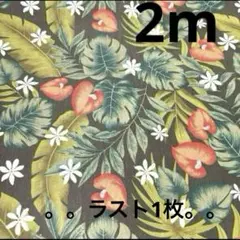 【特価】最終出品SALE★ラスト1枚★ポリシーチング★ハイビスカス★グリーン★