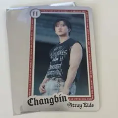 straykids domin ATE ライブフォトカードランダム　チャンビン