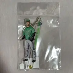 ヤクルトスワローズ 吉村貢司郎 フォトプロップス