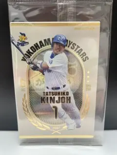 未開封⭐︎OLE04 オーナーズリーグ　横浜ベイスターズ　金城 龍彦
