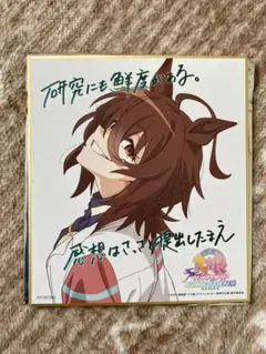 劇場版　ウマ娘　プリティーダービー 新時代の扉　入場者特典 アグネスタキオン