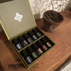 doTERRA ドテラ ファミリーエッセンシャルキット 5ml×10本