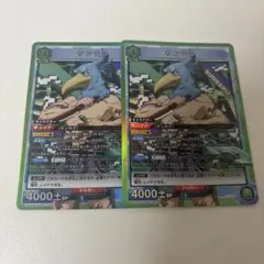 UA シャンフロ サンラク SR 2枚