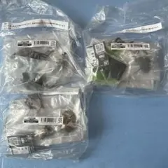 いきもの大図鑑　くわがた10 セット