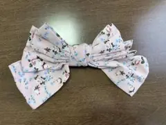 Item thumbnail for item 8e095685-fd20-4c17-900f-e0746bd8774a