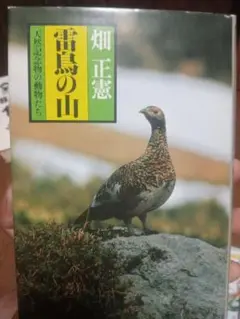 雷鳥の山 畑一正著
