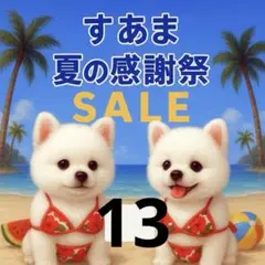 ✨夏の感謝祭セール✨パネル【Ｎｏ．13】