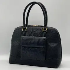 【美品】OSTRICH オーストリッチ 鴕鳥 ダチョウ ハンドバッグ