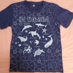 海の生物プリント Tシャツ 120cm　海　ブルー