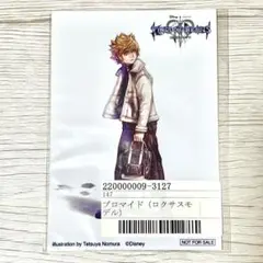 キングダムハーツ ロクサス ブロマイド ロクサスモデル