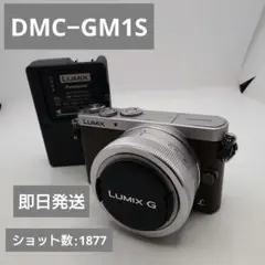 2025年最新】DMC GM1SKの人気アイテム - メルカリ
