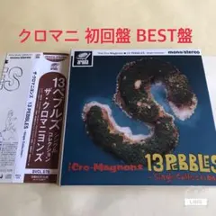 ザ・クロマニヨンズ　13ぺブルズ　シングルコレクション　レコード　未使用 Amazon.co.jp: 13 PEBBLES~Single Collection~ - ザ