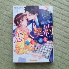 絶対に好きになってはいけない副社長と恋人契約したら同居×溺愛されています