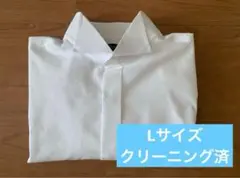 【L】フォーシスアンドカンパニー　ウイングカラーシャツ　新郎