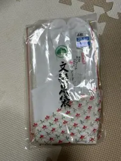 Item thumbnail for item d6b1a354-c31e-4bef-b984-66ff35ef3134