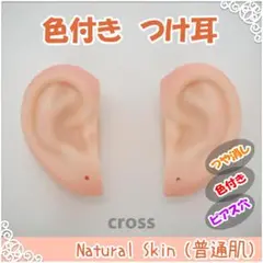 Item thumbnail for item e0e604a0-c2fc-4b11-9f77-be63985a72a4