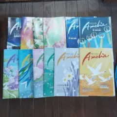翻訳情報誌 「Amelia」12冊: 2024年1月〜12月