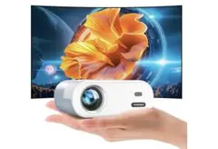 Item thumbnail for item df44b29e-03dc-490c-b1da-50501071e923