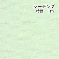 ラスト 特価 1m 無地 パステルミントグリーン シーチング