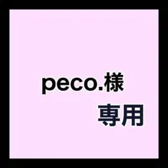 専用ページ