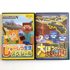 マインクラフト さなぴーの解説DVD 実況DVD 2枚セット