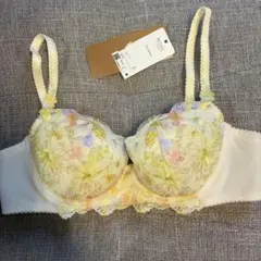 ウイング ワコール レシアージュ B75 ブラジャー
