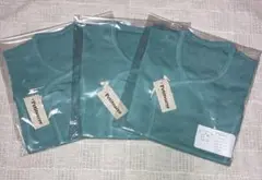 Item thumbnail for item 2e926eda-de90-47e7-85a4-39dca17e1b70