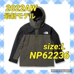THE NORTH FACE マウンテンライトジャケット ニュートープ L