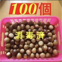 Item thumbnail for item 9f2a39a0-d8b1-4d49-a0ec-b7398309acff