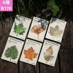 Item thumbnail for item dcdac477-96de-4c20-bb2f-487cac7023e9