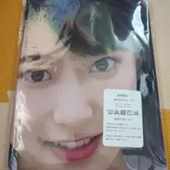 武田玲奈　両面抱き枕カバー160cm×50cm 新品未使用