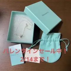 Tiffany アトラスネックレス