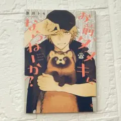 お前、タヌキにならねーか? 1