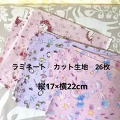 ラミネート　カット生地　縦17×横22cm 18枚