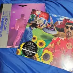 玉置浩二／カフェ・ジャパン&安全地帯／ライブ