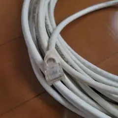 CAT6 LANケーブル ホワイト 10m