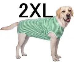 Item thumbnail for item 9d7b672d-4189-4c9d-a4ab-1d83f14bca56