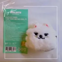 【お顔厳選❤︎】プルバトゥ　フェイスキーリング