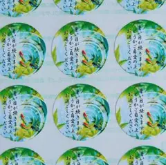 金魚池⭐夏限定メッセージシール♥1シート48枚