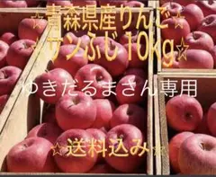 ゆきだるまさん専用⭐︎青森県産⭐︎訳ありサンふじ10kg⭐︎
