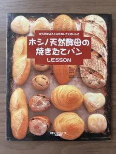 ホシノ天然酵母の焼きたてパンLESSON 1冊