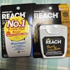 Item thumbnail for item b6fb7956-20f5-496e-9a47-29daec577ed0