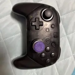 Nintendo Switch Pro Controller 透明黒
