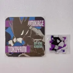 ヒロアカ展-常闇-2展セット