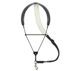Item thumbnail for item a651afe2-3d01-437a-acd8-fe4a71572b2e