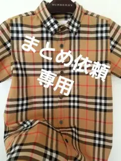 Item thumbnail for item 4d6fa068-6563-4f3c-a1e6-f520d62204b6